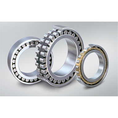 Double Row Cylindrical Roller Bearings Dealers in India