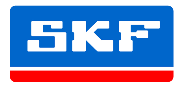 SKF Bearing